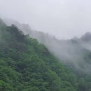 홍스캐빈 이미지