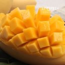 망고 - 여수시 화산로 125 | 망고