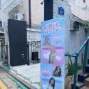 2024 비비지 은하 신비 은비즈 생일 카페 투어🦋