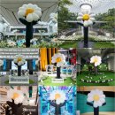 시보미디어 이미지