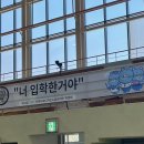 아임파인애플