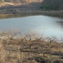 대석농장 이미지