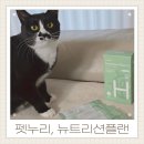 h | 펫누리 고양이영양제 츄르 간식처럼 먹이며 관리한 뉴트리션플랜H 후기