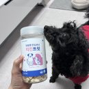 pet173더5712 | 루이가 반한 산책용 간식 강아지 트릿, 동결건조 간식 추천 &#39;굿포펫&#39;