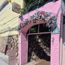 까페 남산동 | 부산 금정구 남산동 카페 론디 후기 | 조용하고 감성적인 동네카페 발견