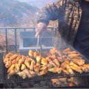 도토리민박 이미지