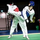 한국체대월드태권도 이미지