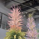 양지윤 | 🌿서울식물원에서 즐기는 특별한 체험, 양지윤 작가 <종이 위에 핀 기원> 워크숍 후기✨