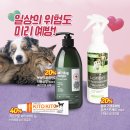 시청마트 이미지