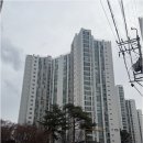 일성부동산중개 이미지