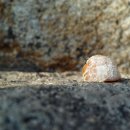 경주남산한의원 이미지