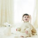 Babydiarystudio