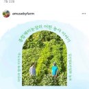 재미농장 네이버블로그