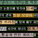 넬라스 이미지
