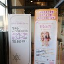 펫츠가든 이미지