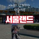 천천2공원 | 5세 아이와 가을 나들이 서울랜드 주말방문 후기