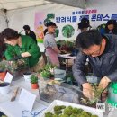 대구화훼 이미지