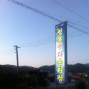 P-5408 | 14.05.26. 보현산 후기 – 참치의 복수