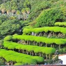 외도조경식물원 이미지