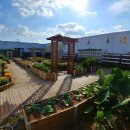 노원구청사(본관) 이미지