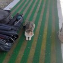 천동낚시 이미지