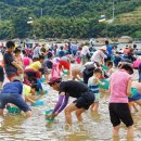 네잎클로버의 메아리 이미지