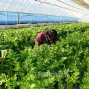 장곡농장 이미지