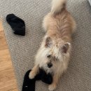 비트 앤 건강요가 이미지