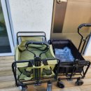 골드애견 이미지