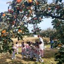 성암초교 병설유치원 이미지