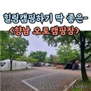 동서울오토테크닉 | [경기 화성] 향남 오토캠핑장 비온날에 다녀온 후기(가격,예약방법,참고사항+ 팁까지!)