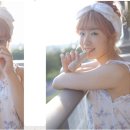 현상회