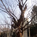 과천동회관 이미지