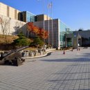 코뚜레목장 | 설 연휴 동안 온 가족이 가볼만한 명소 추천... 경기도