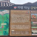 덕실감빛마을 이미지