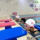 망고키즈수영장(화명본점) 이미지