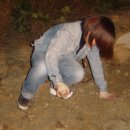 효진농장 이미지