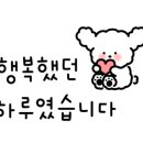 노비스 짐 입암본점 이미지