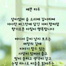 예쁜하루 - 서구 | 예쁜하루