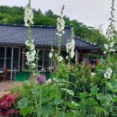 꽃향기머무는집 이미지