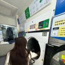 가족명품세탁 이미지