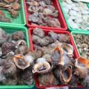 대천항수산물시장 이미지