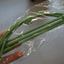 지지대 | 식물키우기/식물지지대 후크월드 후기