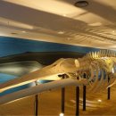 민속자연사박물관 이미지