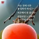 호수에 담다 이미지