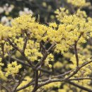 노들나루공원 이미지