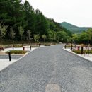 태백고원자연휴양림 이미지