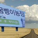 외동농원 네이버블로그