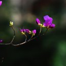 아름따다 이미지