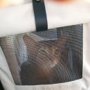 그루밍캣 압구정점 이미지